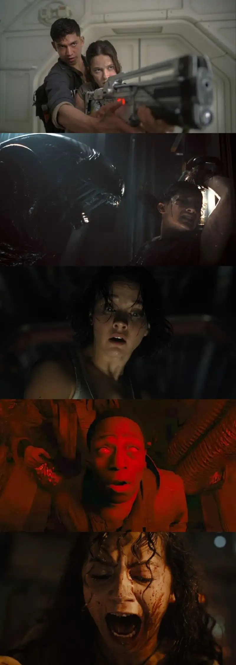 alien: , romulus , 2024 , dsnp , ddp , 5.1 , – , ddp , 5.1