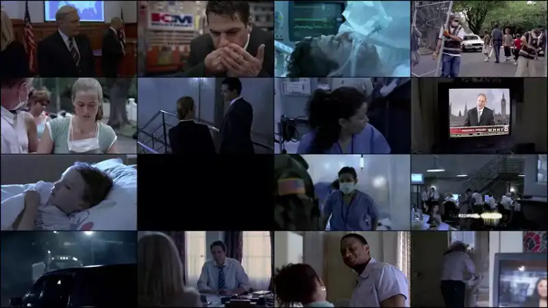 fatal , contact: , bird , flu , in , america , 2006 , hindi-english