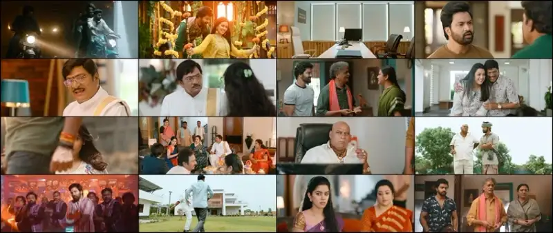 organic , mama , hybrid , alludu , 2023 , hindi-telugu